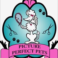 Picture Perfect Pets Dog Grooming 